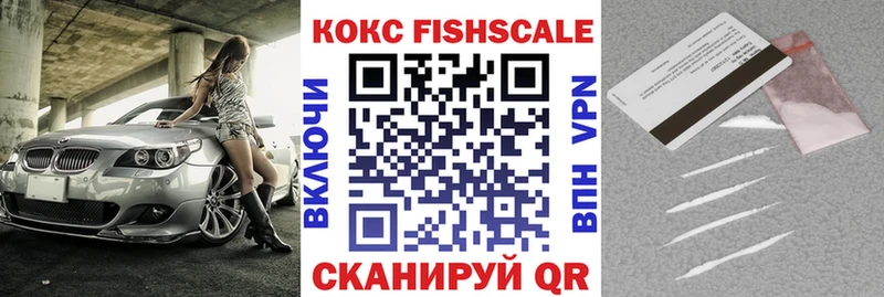 где купить   Бабаево  COCAIN Fish Scale 